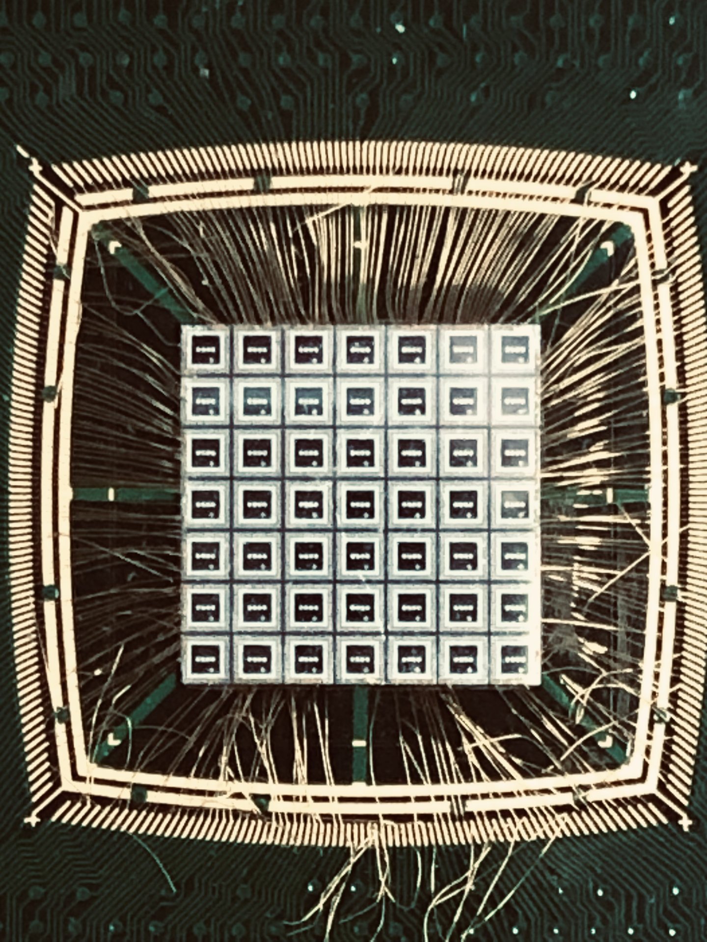 BGA